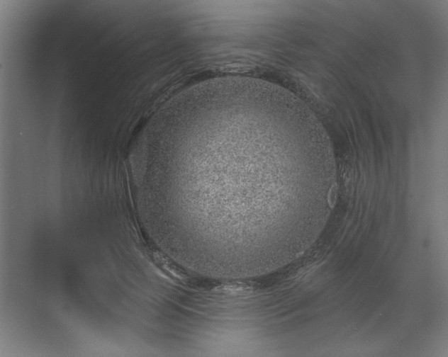 X0000070820745200606191222