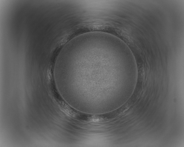 X0000070820746200606191222