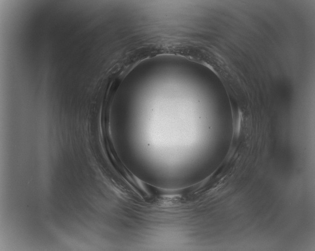 X0000070820750200606191222