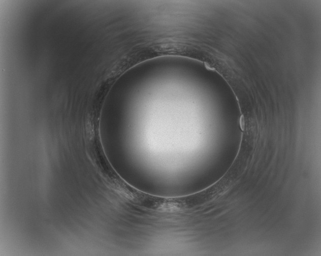 X0000070820751200606191222