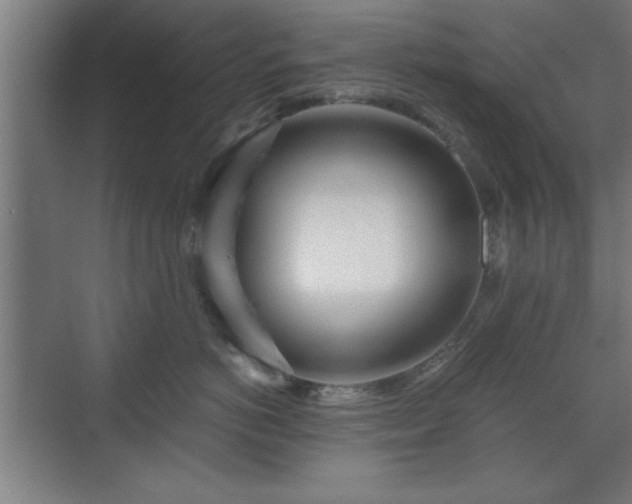 X0000070820766200606191222