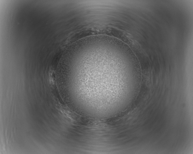X0000070820770200606191221