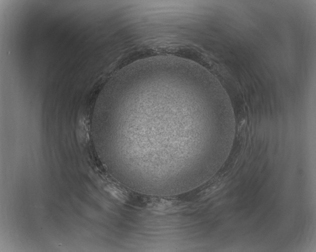 X0000070820772200606191221
