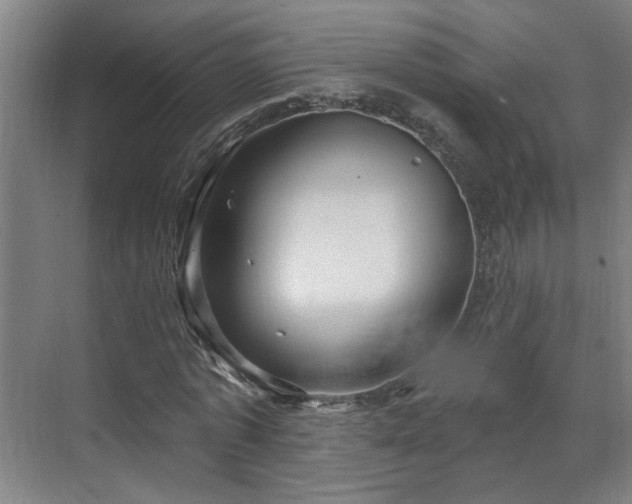 X0000070820773200606191221