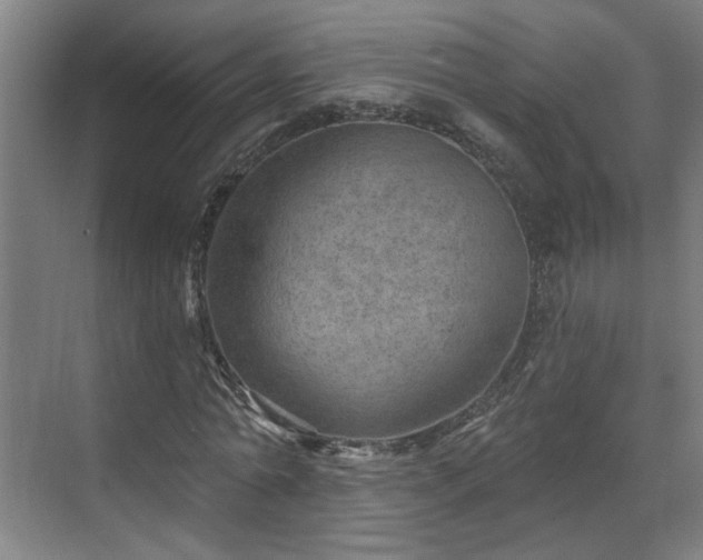 X0000070820774200606191221