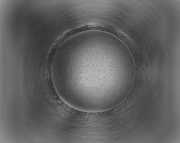 X0000070820776200606191221