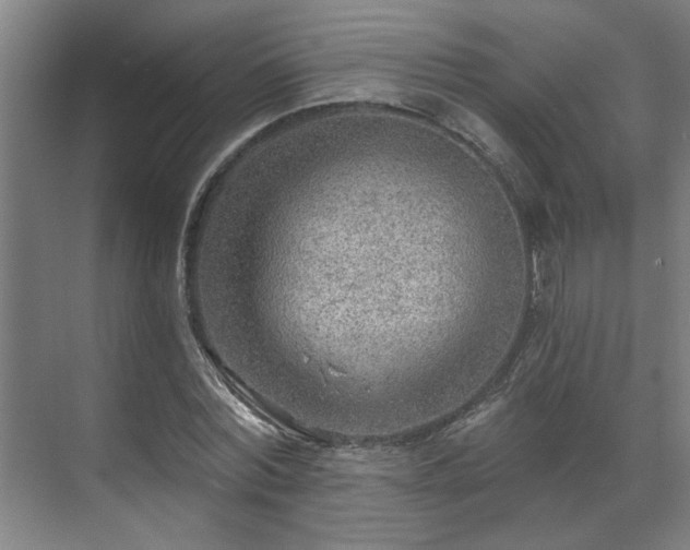 X0000070820780200606191221