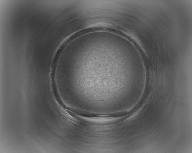 X0000070820783200606191221