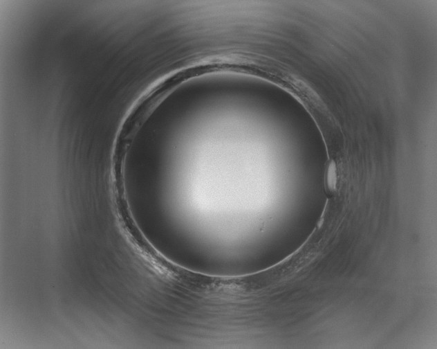 X0000070820784200606191221