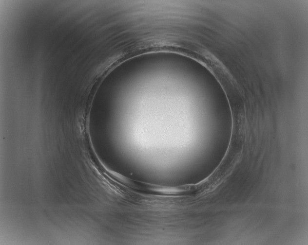 X0000070820785200606191221
