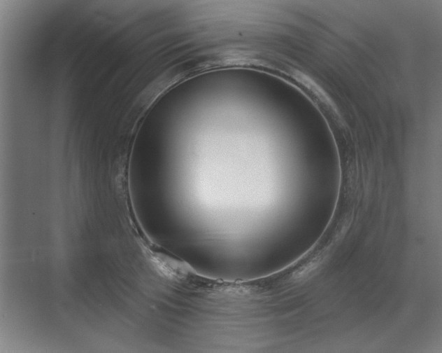 X0000070820801200606191221