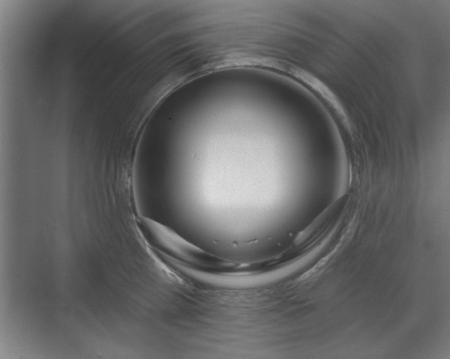 X0000070820809200606191221