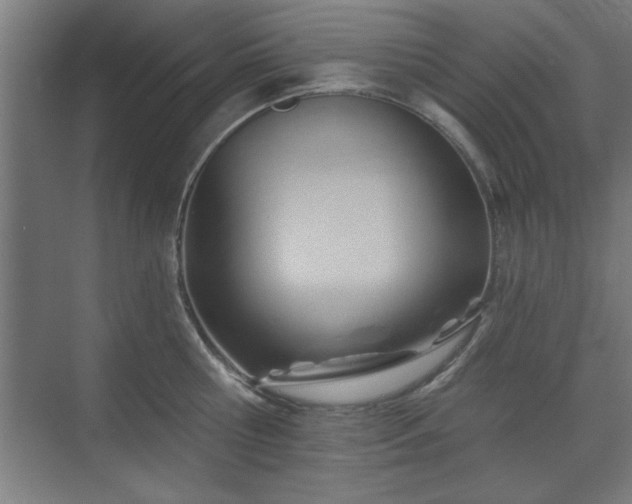X0000070820810200606191221