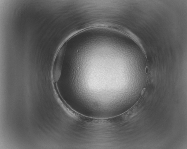 X0000070820811200606191221