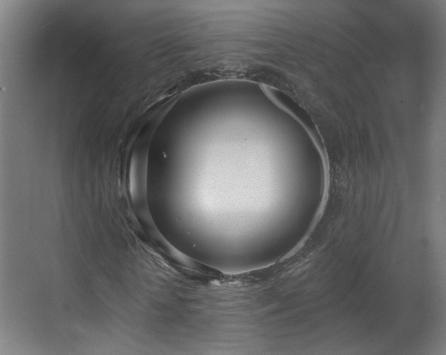 X0000070820818200606191220