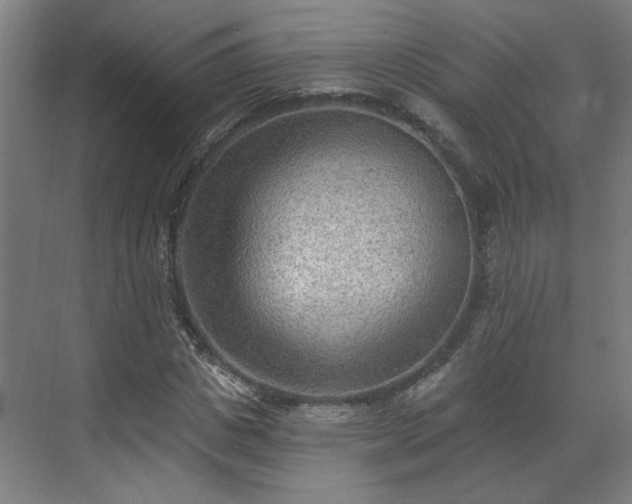 X0000070820825200606191220