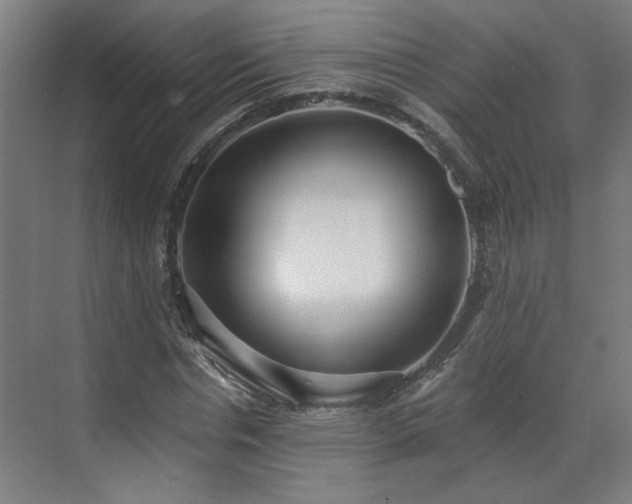 X0000070820826200606191220