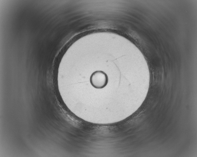 X0000070820828200606191220