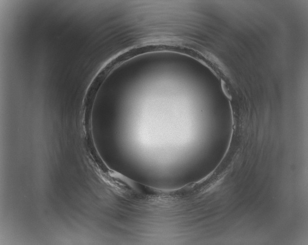 X0000070820830200606191220