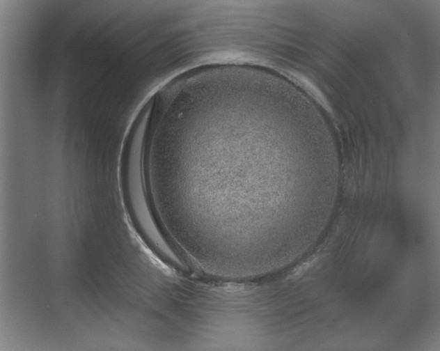 X0000070820839200606191220