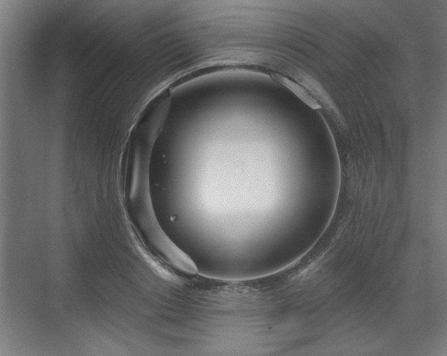 X0000070820842200606191220