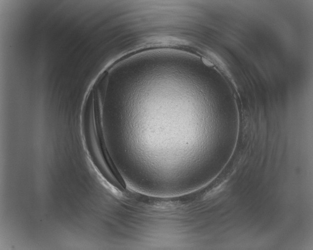 X0000070820843200606191220