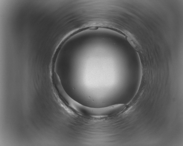 X0000070820846200606191220