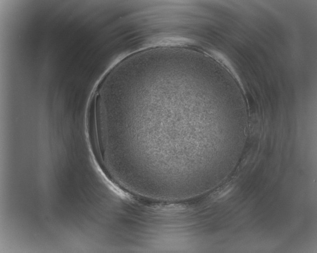 X0000070820851200606191220