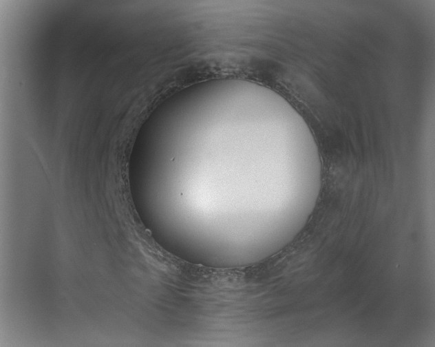 X0000070820865200606191220