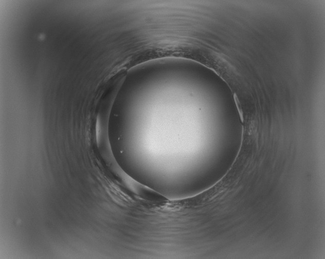 X0000070820868200606191220