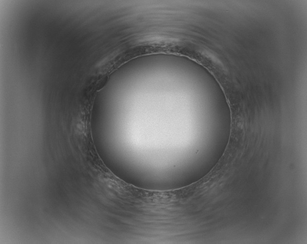 X0000070820869200606191220