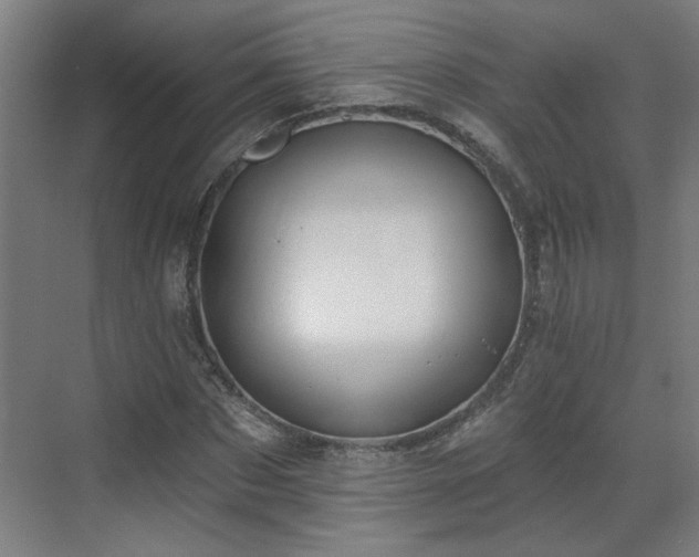 X0000070820873200606191220