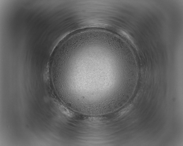 X0000070820875200606191220