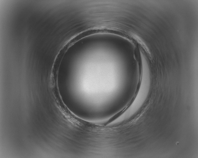 X0000070820876200606191219