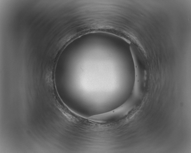 X0000070820881200606191219