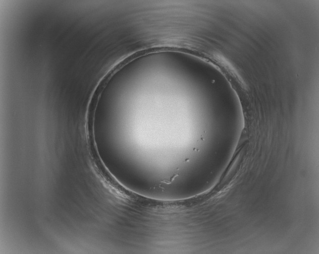 X0000070820884200606191219