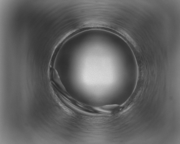 X0000070820885200606191219