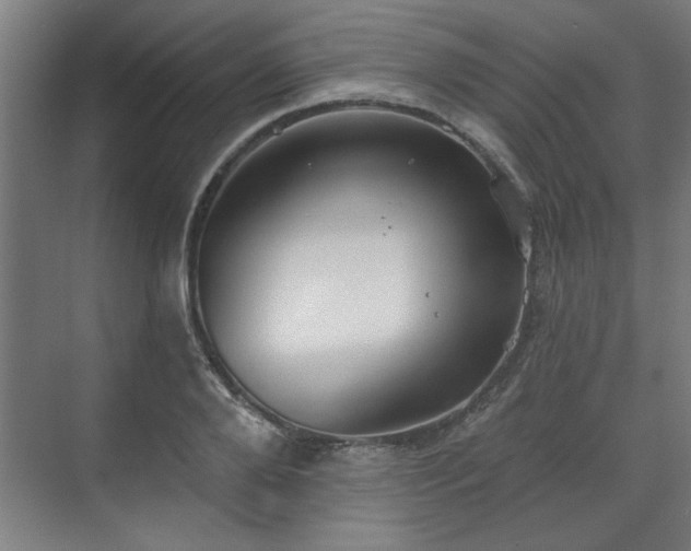 X0000070820888200606191219