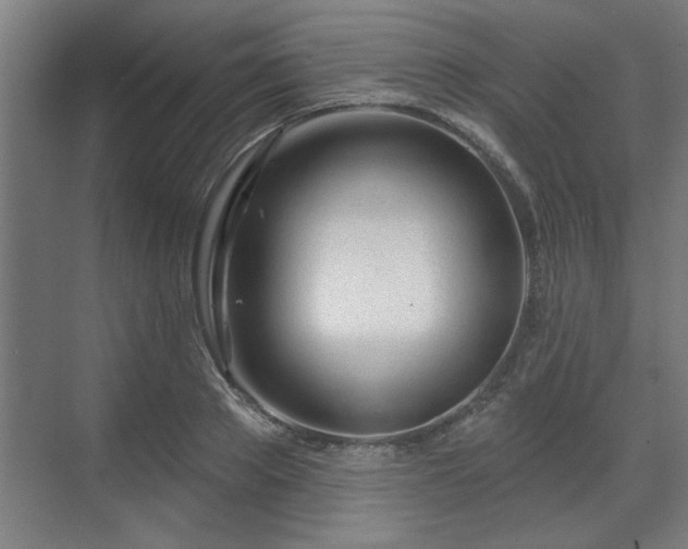 X0000070820889200606191219