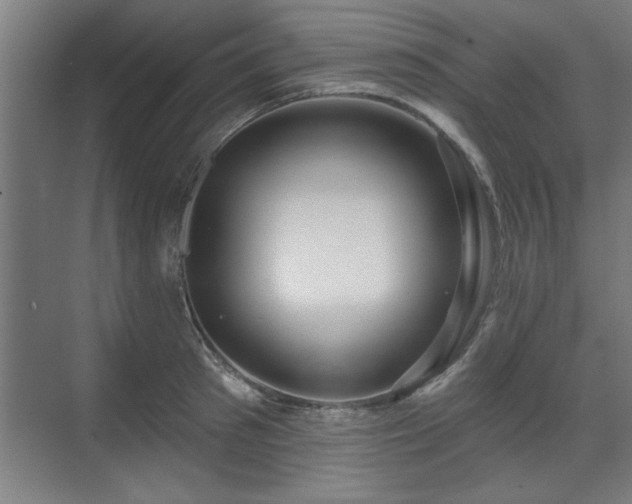X0000070820897200606191219