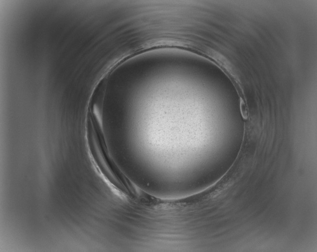 X0000070820898200606191219
