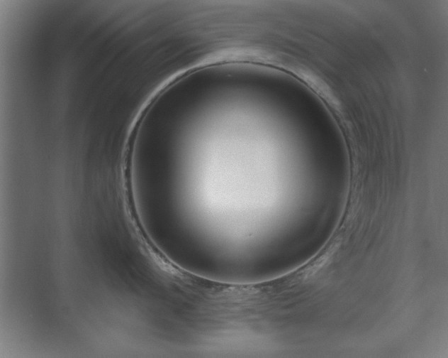 X0000070820912200606191219