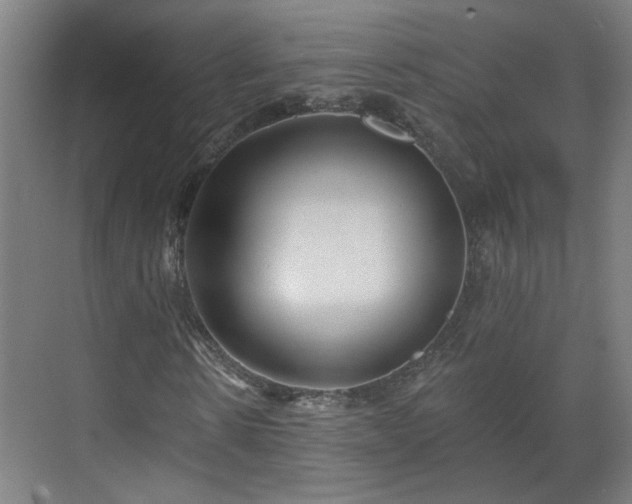 X0000070820914200606191218
