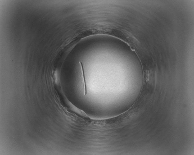 X0000070820915200606191218