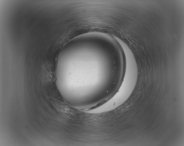 X0000070820916200606191218