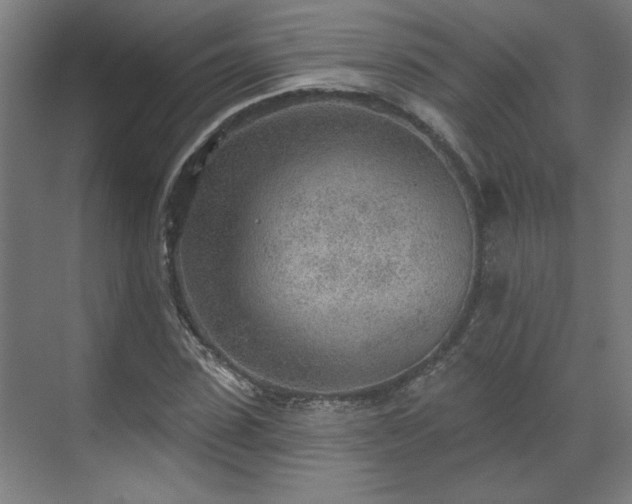 X0000070820923200606191218