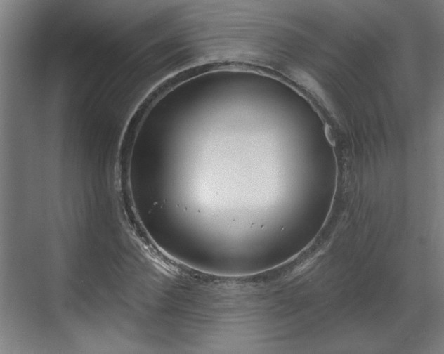 X0000070820924200606191218