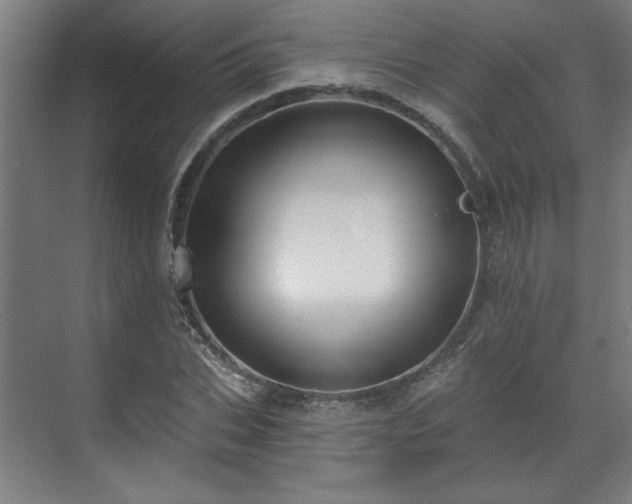 X0000070820927200606191218