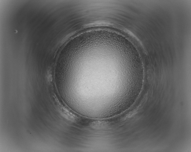 X0000070820929200606191218