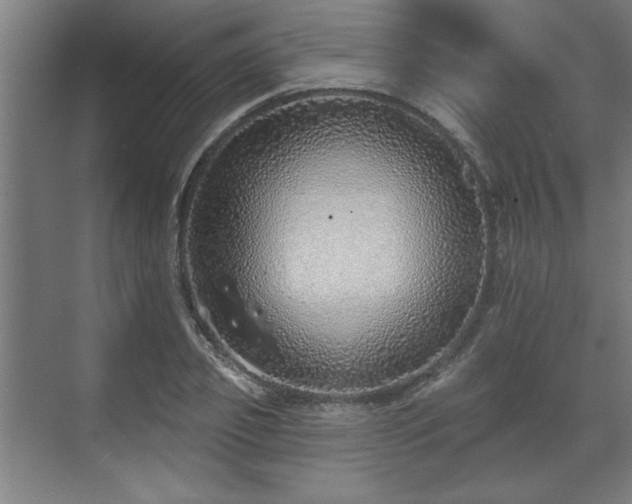 X0000070820933200606191218